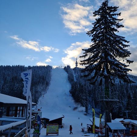 Студиа Студенец Smolyan Exteriör bild
