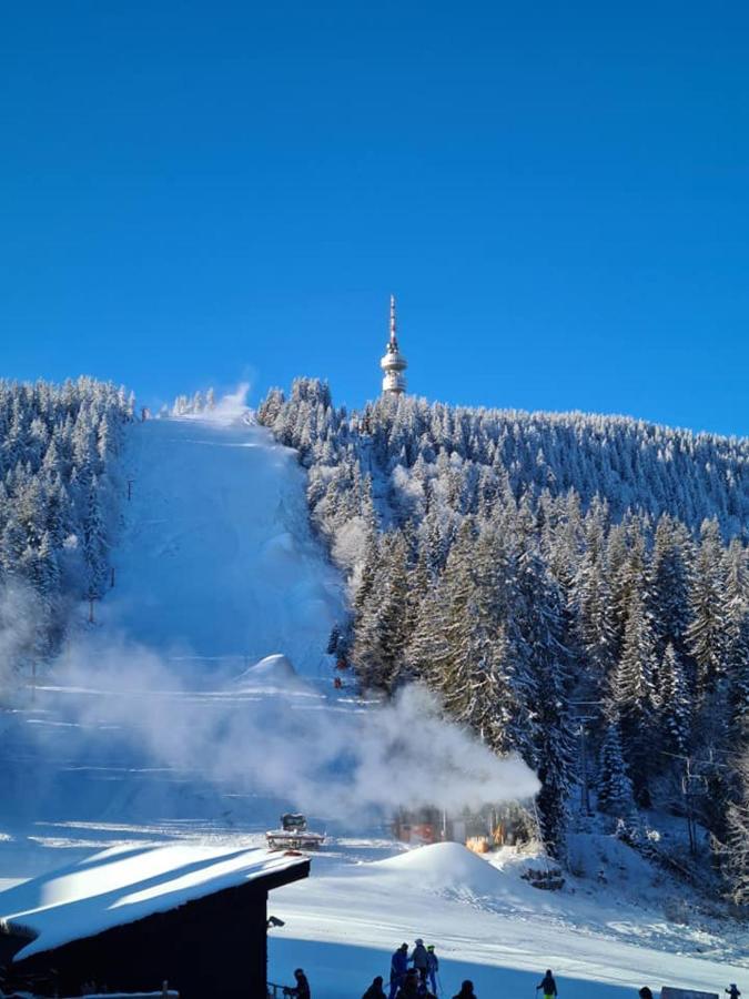 Студиа Студенец Smolyan Exteriör bild